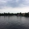 IMG_4388